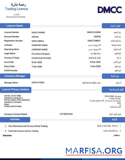 Realistic UAE Dubai trading license Word and PDF template, version 2